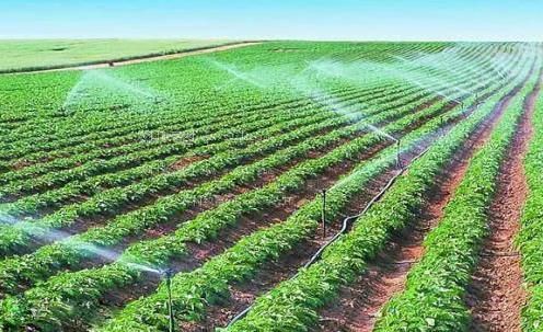 美女艹起来就是爽农田高 效节水灌溉